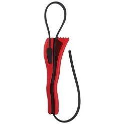 Baby Boa Constrictor