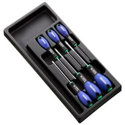 Expert By Facom E194941B - 6 Piece ResisTorx Screwdriver Module
