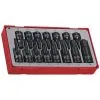 Teng TT9015HX 15 Piece 3/8" & 1/2" Hex Impact Socket Set